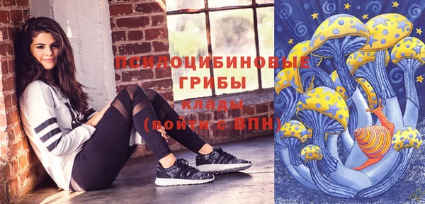 соль ск Медвежьегорск